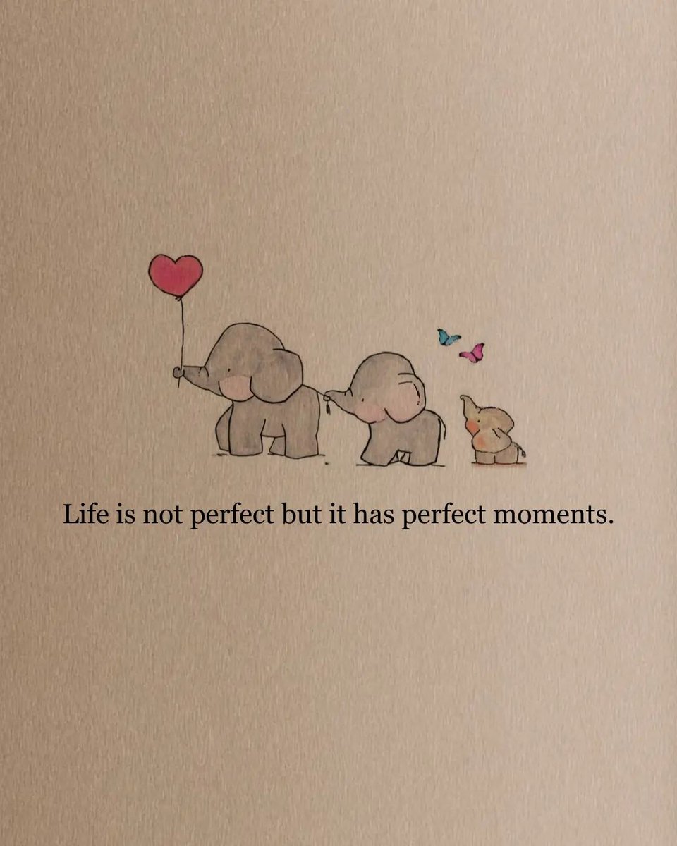 Mind Essentials (@mind_essentials) on Twitter photo 