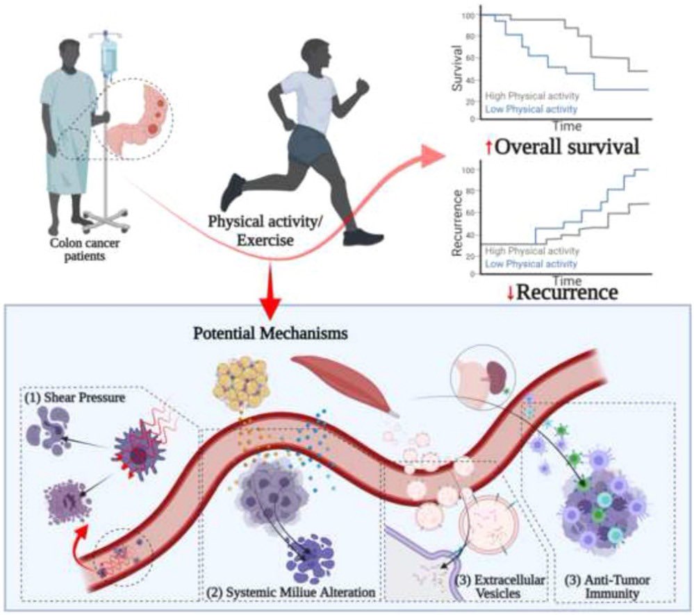 Dr. Beto CoGa tweet media