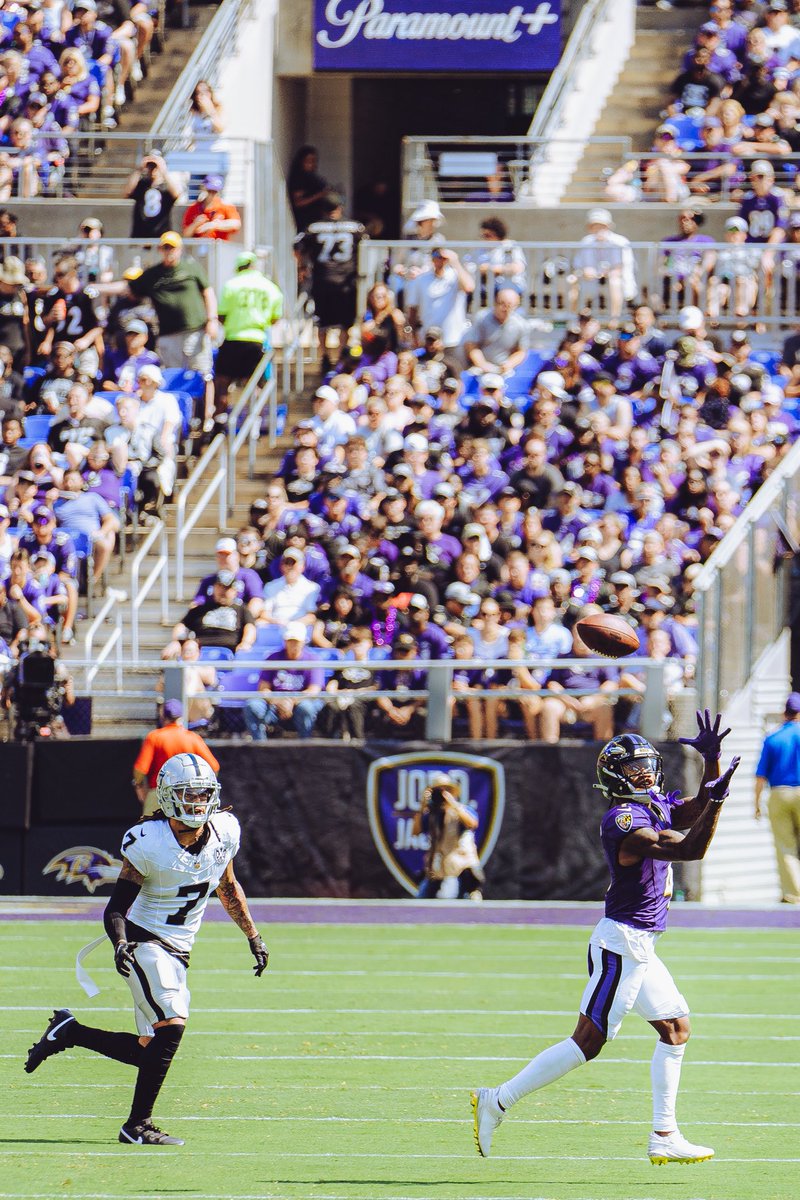 HassanBackAgain's tweet image. Few more shots I got on Sunday