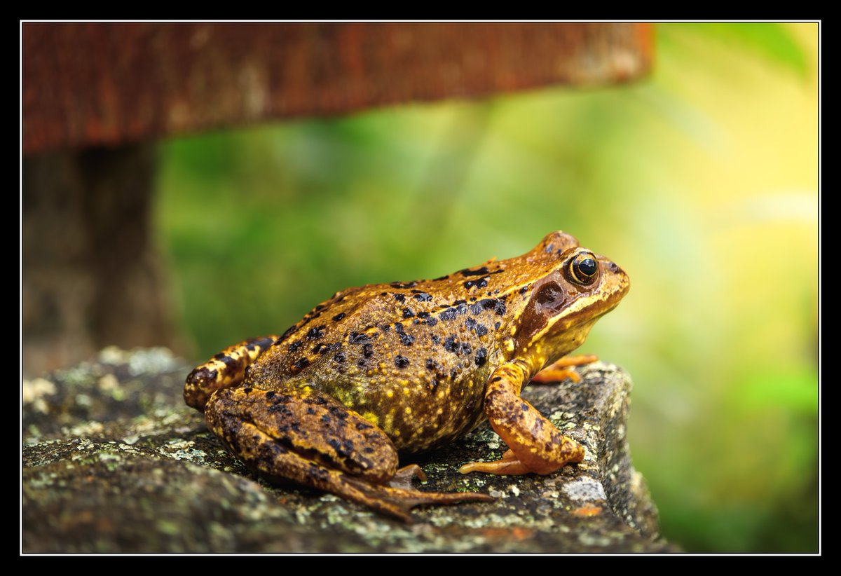 Simon Douglas (@sjedouglas) on Twitter photo 