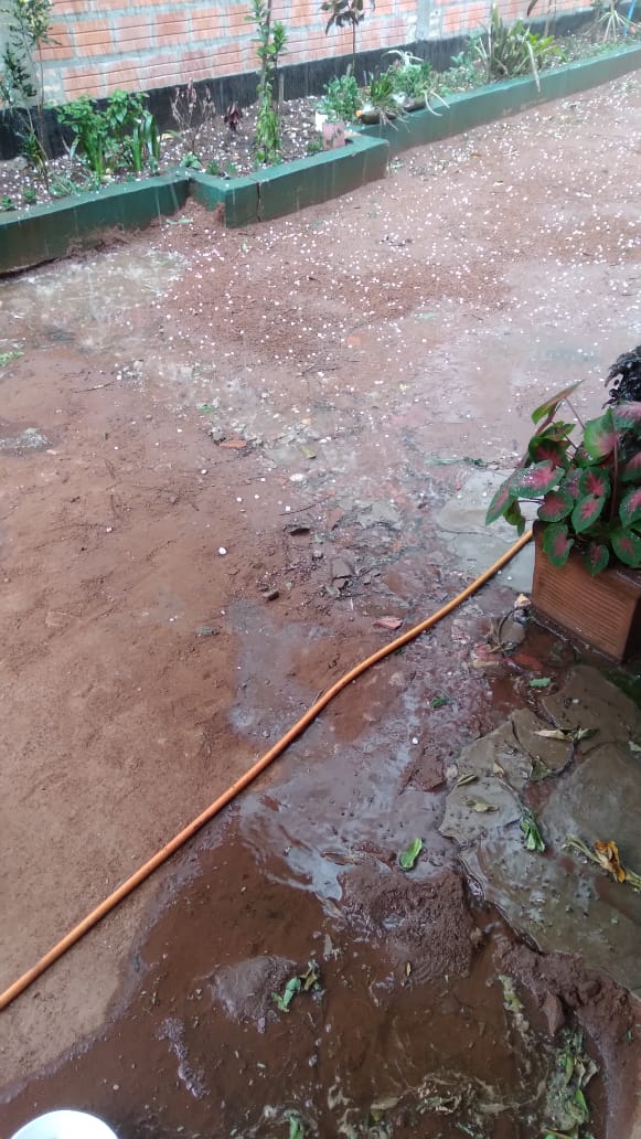 Patricia Bordon tweet media