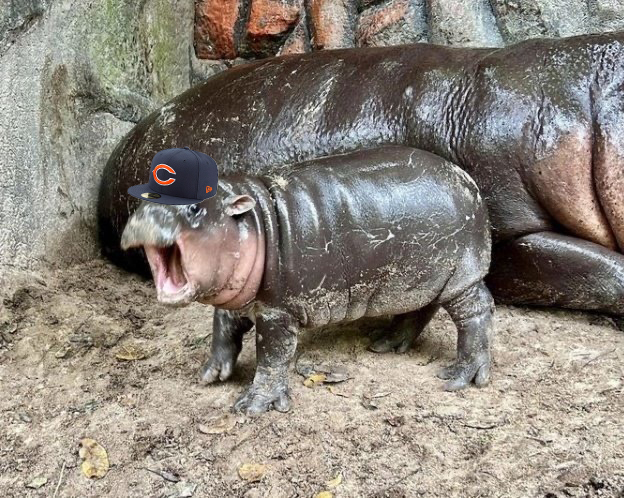 ChicagoBears's tweet image. gameday MOO(d)