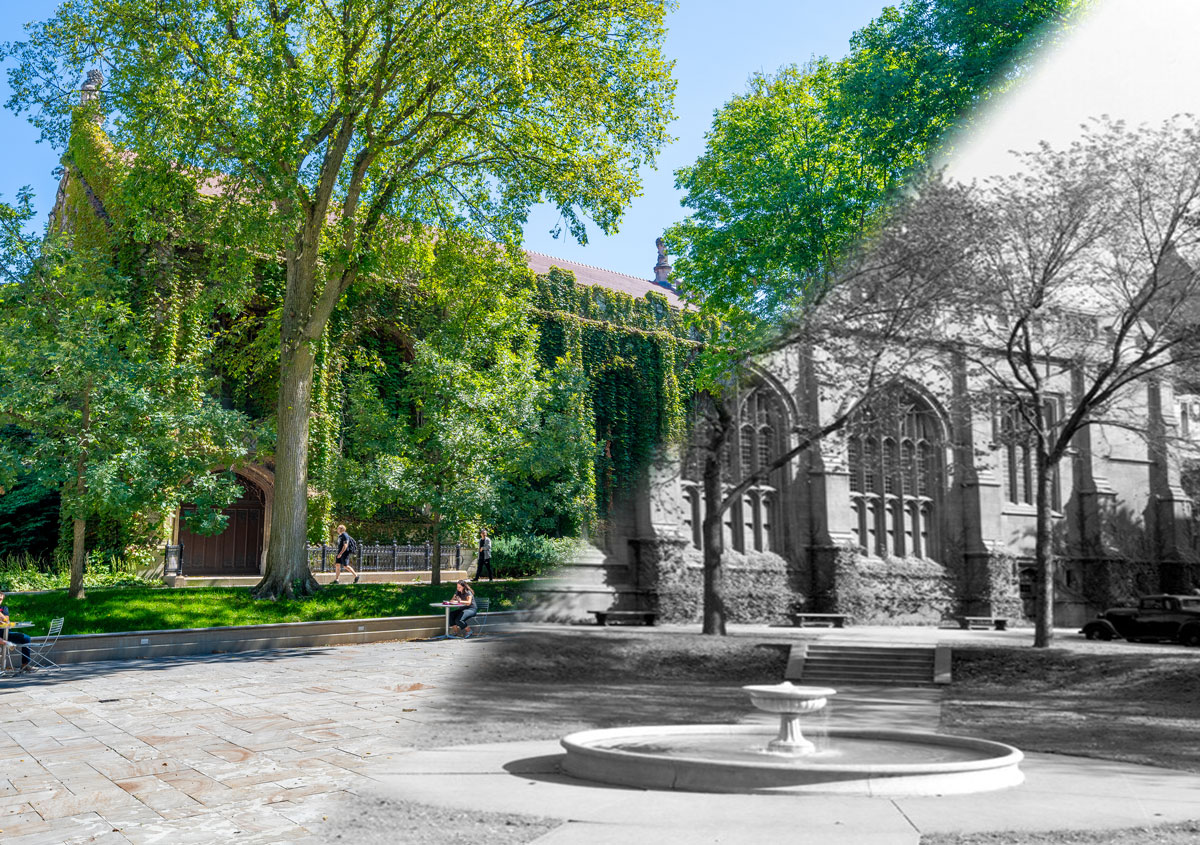 The University of Chicago tweet media