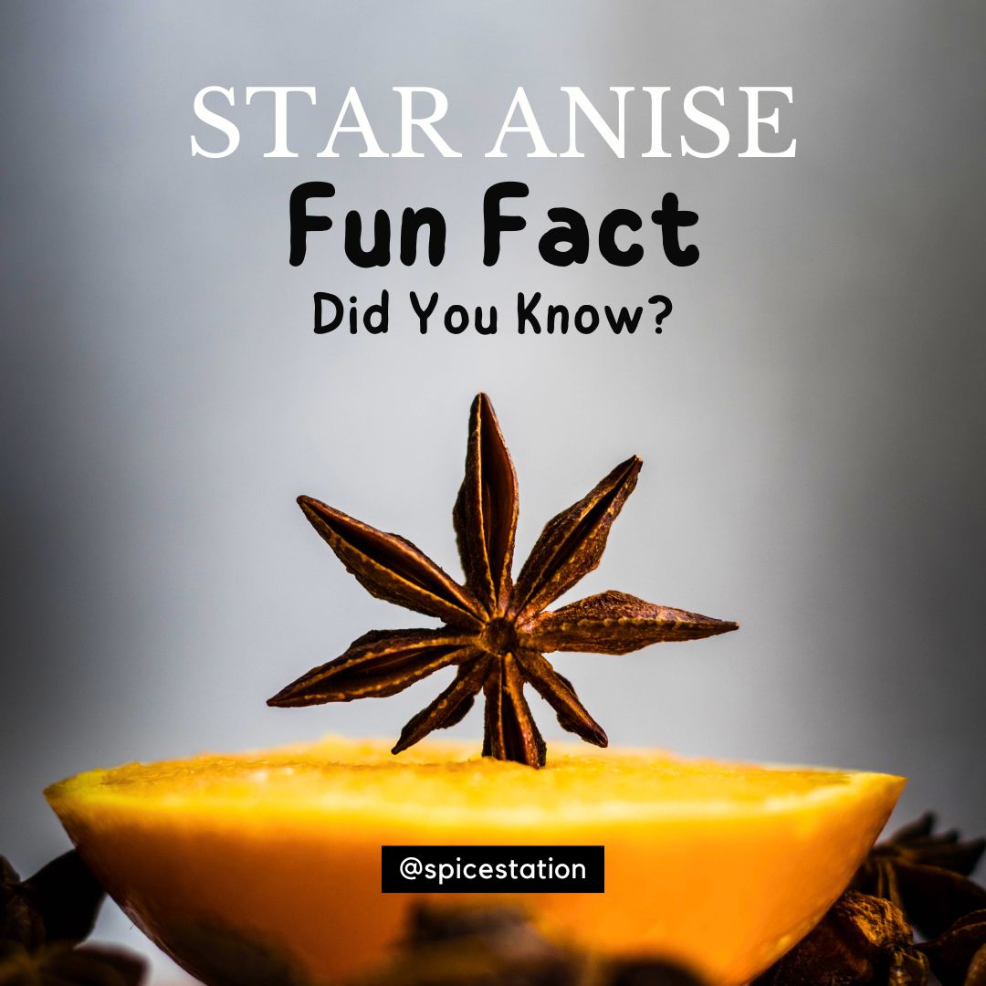 spicestation's tweet image. It&apos;s time again for some Fun Spice Trivia! 🚫 Beware of the Lookalike: Star anise’s evil twin, Japanese star anise, looks the same but is toxic! It’s the “spice” version of that one prankster friend you can’t trust 😂

Get #StarAnise at #SpiceStation: bit.ly/3zCX5rP