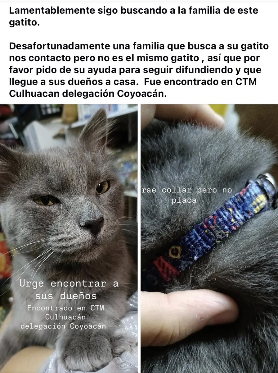 Encontrado en CTM Culhuacan alcaldia Coyoacán bajo resguardo por poco tiempo , trae un collar de colores sin placa Nos apoyarían a difundirlo Seguramente su Familia lo esté buscando 
Porfavor Rt 
<a href="/MascotasSismo/">Mascotas Sismo</a> Nos ayudas igualmente a difusión ✨
Infinitas Gracias 🐾