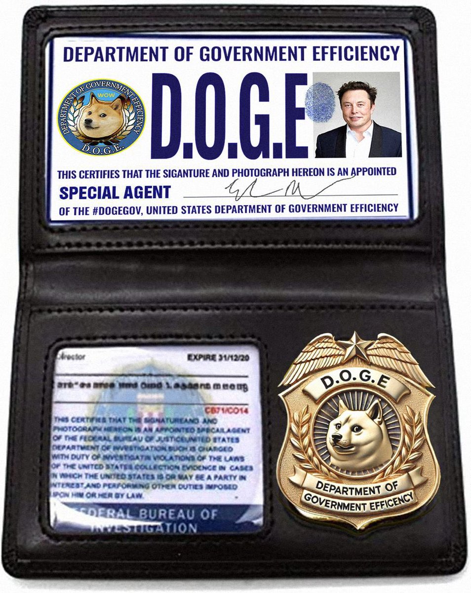 D.O.G.E. Memecoin tweet media
