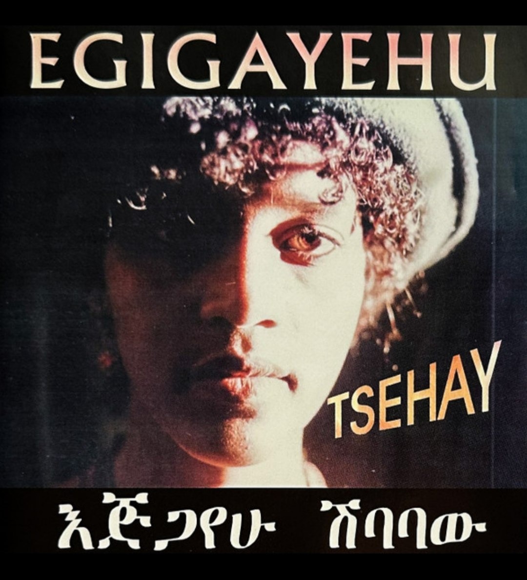 ካሴት ሙዚቃ 🟣 tweet media
