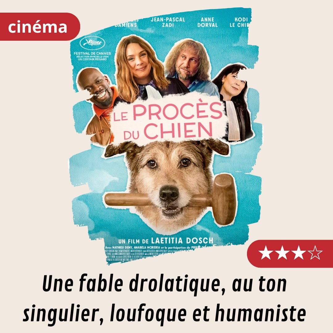 Le procès du chien : Une fable drolatique, au ton singulier, loufoque et humaniste
#LeProcesDuChien
Ma #critique sur mon blog. #cinema 
cinemadevincent.blogspot.com/2024/09/le-pro…