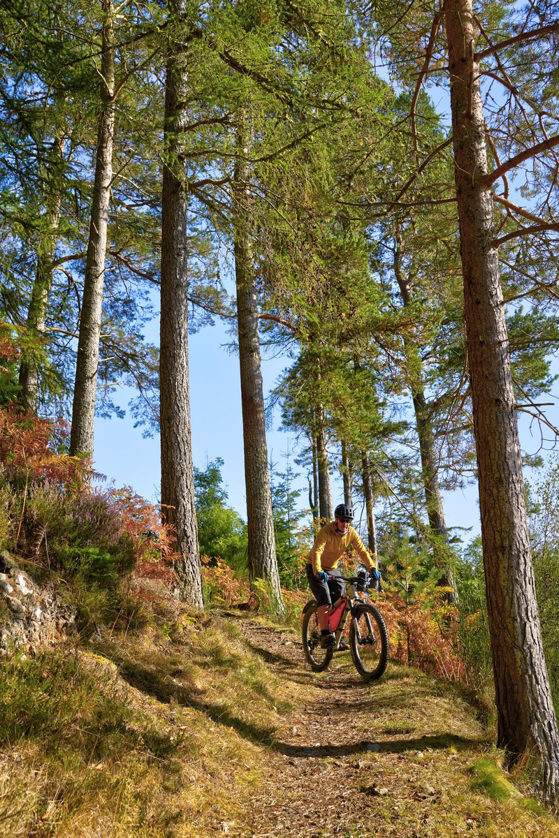 Balblair-Carbisdale-Migdale ride.  A cracking route, brilliant company &amp; loads of laughs 🚴‍♂️🚴‍♀️🚴‍♂️🚴‍♀️ <a href="/wearecyclinguk/">Cycling UK</a> <a href="/sonderbikes/">Love Sonder</a> #sonderstories
