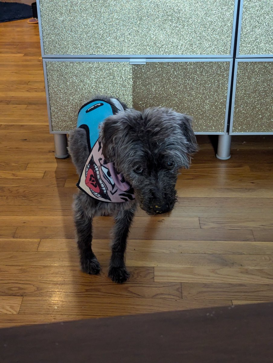 glamatcha's tweet photo. @IfyNwadiwe I know it's been longer than 2 hours but counterpoint: my boy is heckin cute and we could use a longer break from discourse 🤣 https://t.co/zSMB5TsicR