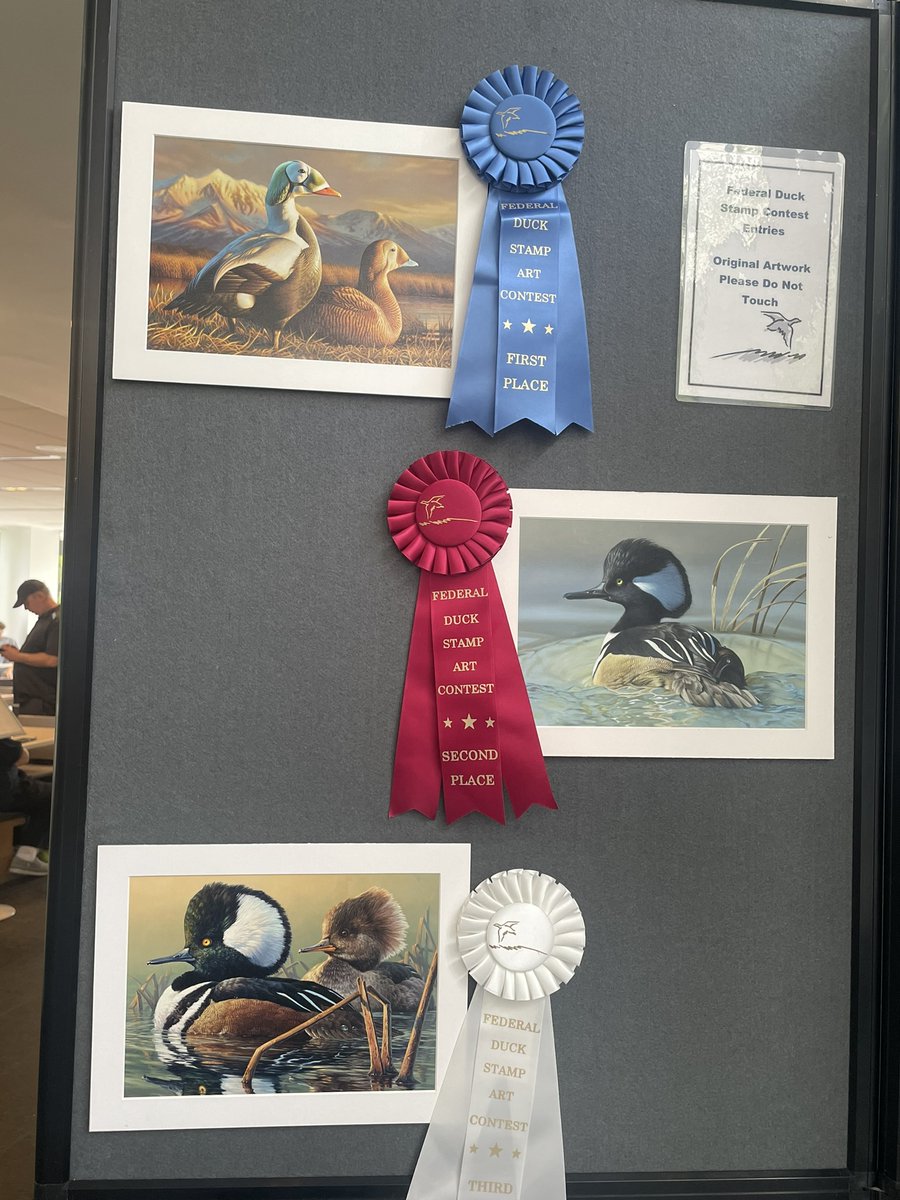 The 2024 Duck Stamp Contest has come to a finale! Congratulations to Adam Grimm on his win, and to 2nd and 3rd place winners Rebekah Knight and Abraham Hunter (both former Junior Duck Stamp champions). Such an honor to host at the Bruce Museum! #DuckStamp