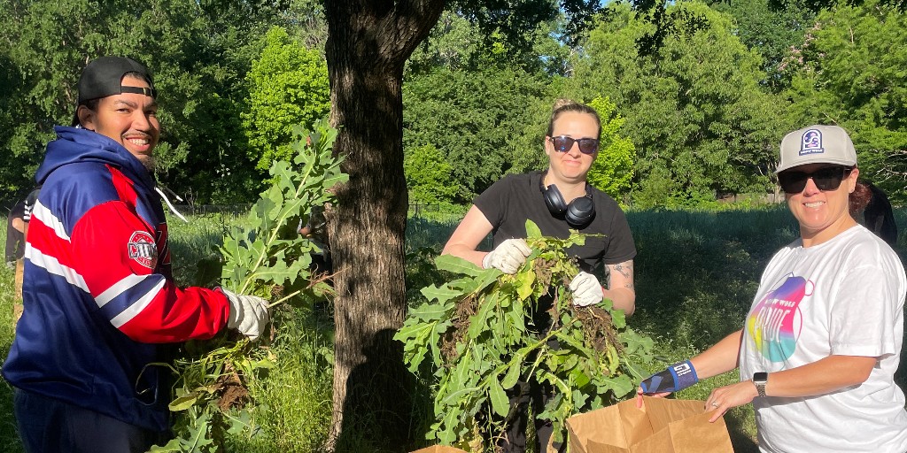 Thank you so much for your generous donation on North Texas Giving Day! 🌟 Your support helps Keep Grapevine Beautiful in our mission for a greener tomorrow. Together, we’re creating a more sustainable and vibrant environment. 🌍💚