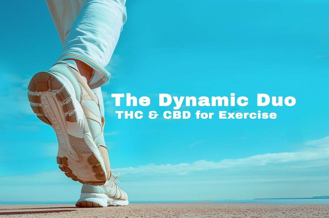 The OG dynamic DUO. Read about it a more.... buff.ly/3MTtMo3