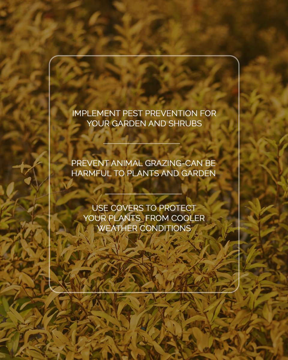 Arista_Homes's tweet photo. Fall is almost here, which means it’s time to get your outdoor space ready for the cooler season ahead! 🍂Swipe for insights and helpful tips on Fall gardening, lawn maintenance and getting your outdoor home space ready for the Fall season.🍁#ARISTAHomes #FallMaintenanceTips https://t.co/hwnX8YbQlj