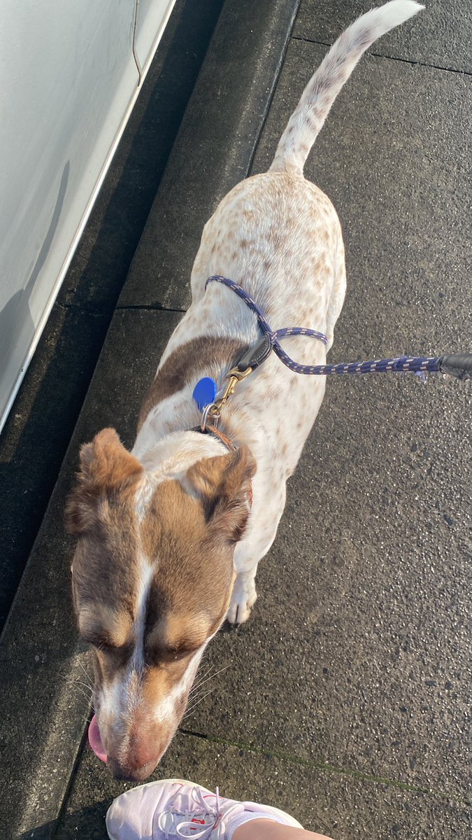 Shannon Leary tweet media