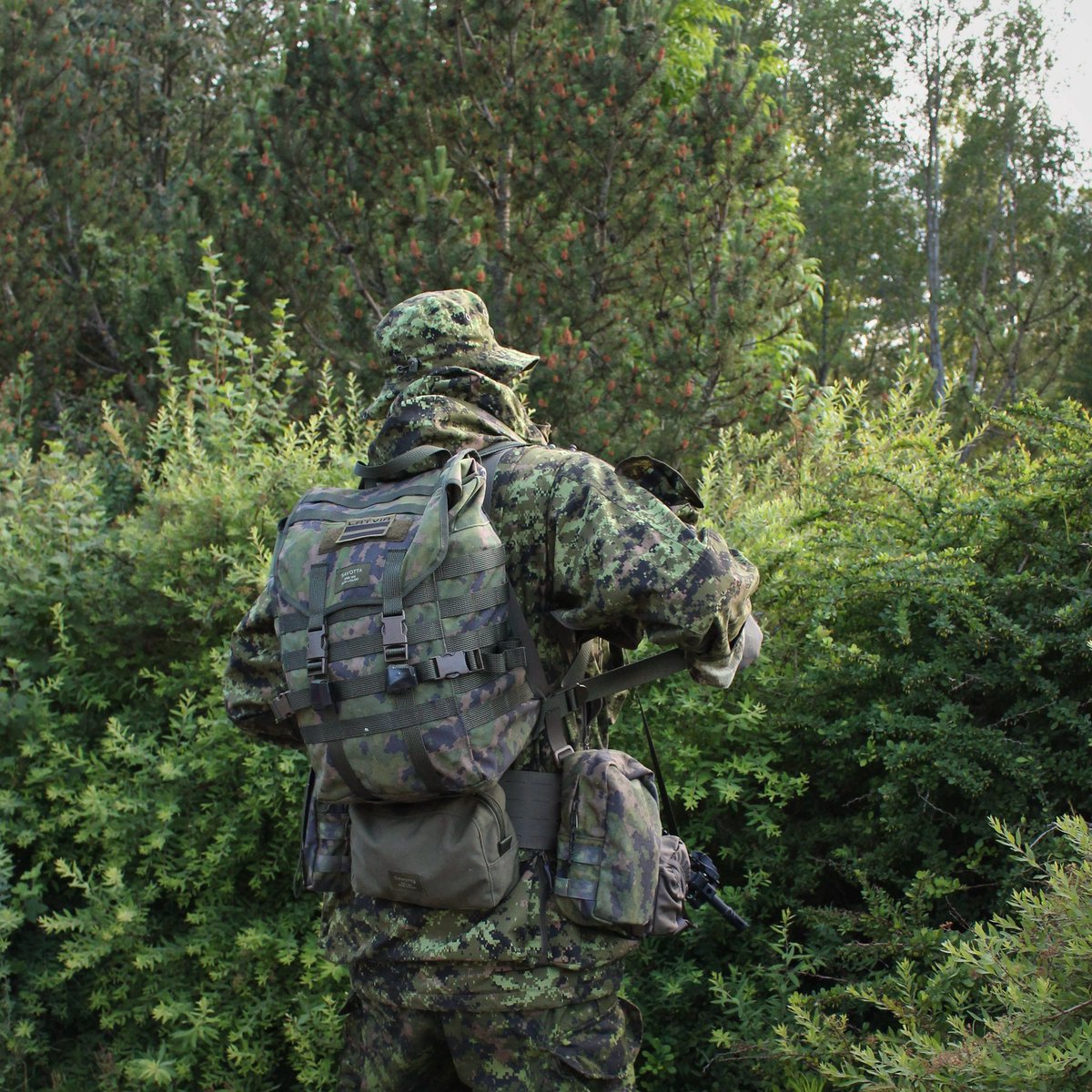 Sneaky Media Group tweet media