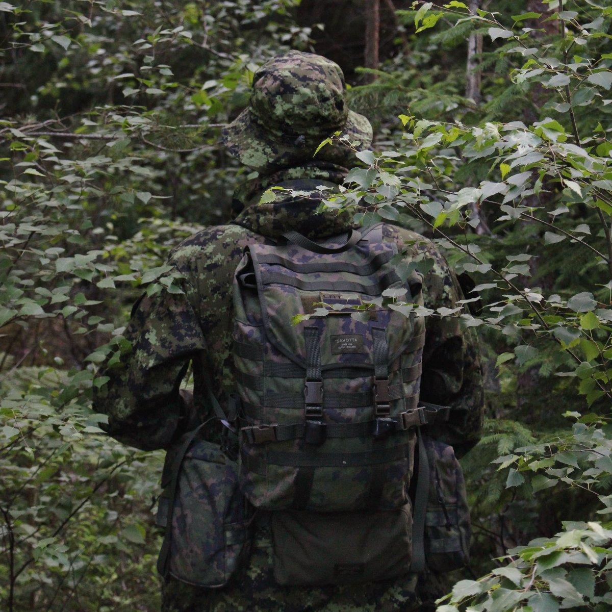 Sneaky Media Group tweet media