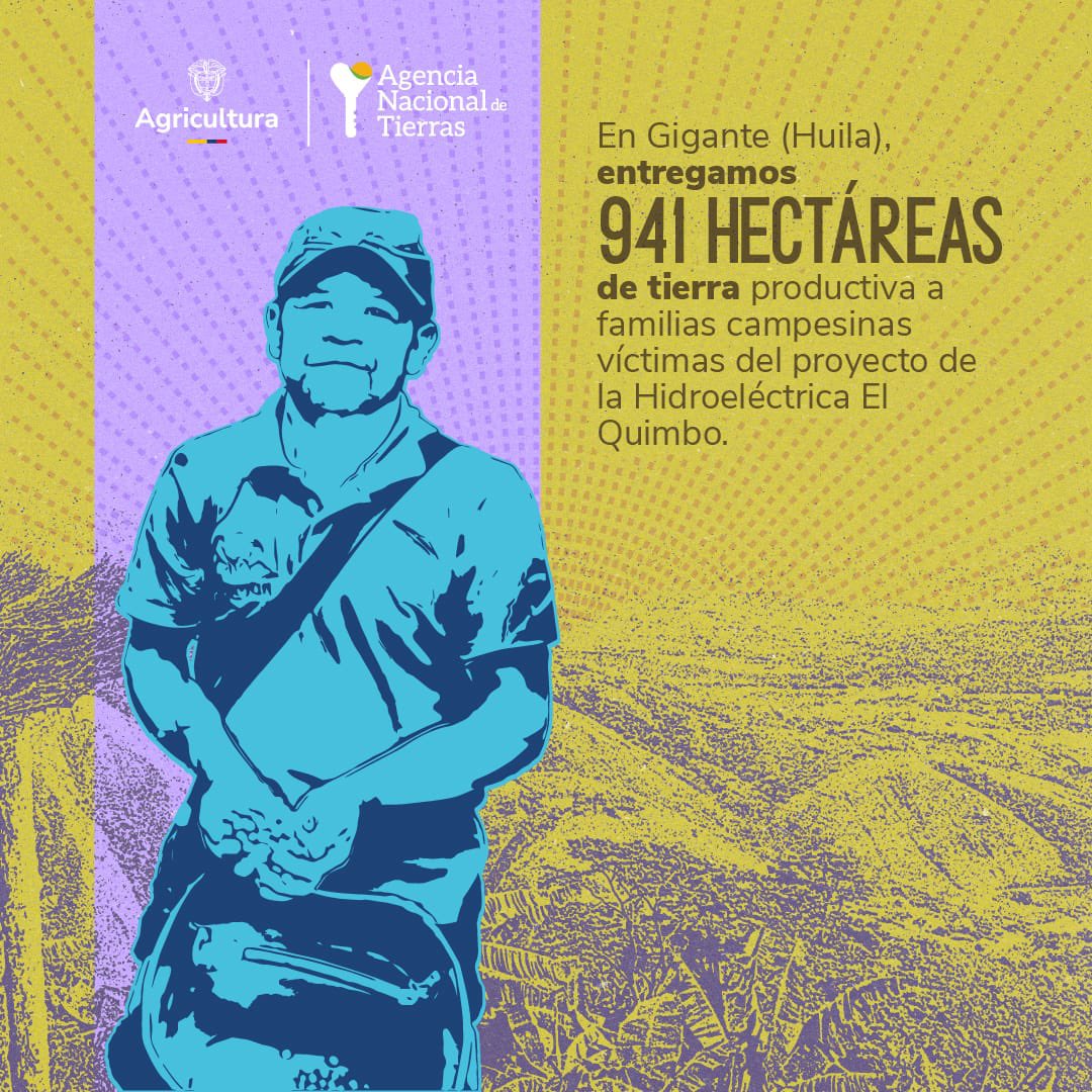 La construcción de la Hidroeléctrica El Quimbo afectó la producción de arroz, maíz, frutales y cacao, y dejó sin seguridad alimentaria a familias campesinas 👩🏽‍🌾👨🏽‍🌾 de Huila. 

Hoy, la #RevoluciónPorLaVida les devuelve las primeras 941 hectáreas de 3.000 adquiridas para esta región.