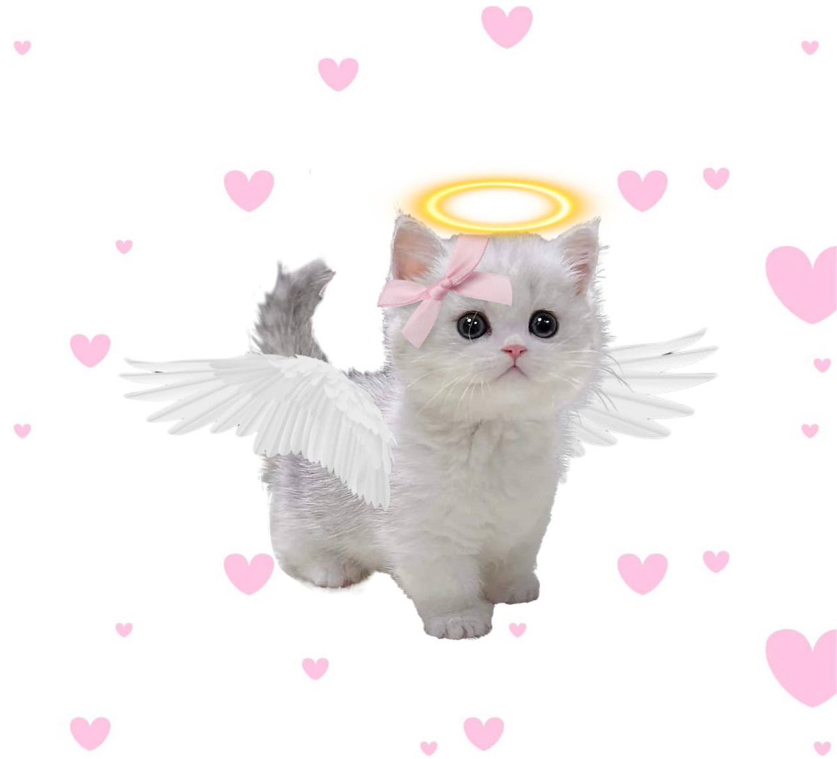 SolanaHasbikX0's tweet photo. @shahh Im here only to spread some $LUV 🫶

Come join a Community that will luv you back ❤️

@Luvsoltoken https://t.co/HhQSdcBbfG