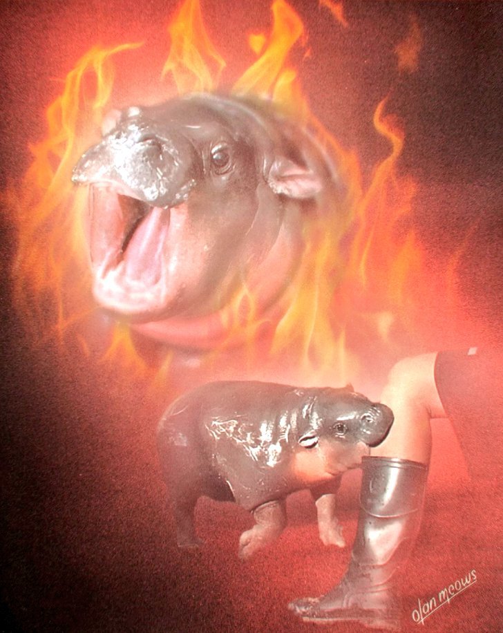 Alright, I’m gonna say it, I don’t think Moo Deng is that great. I think she is feral and dangerous and cute and insane