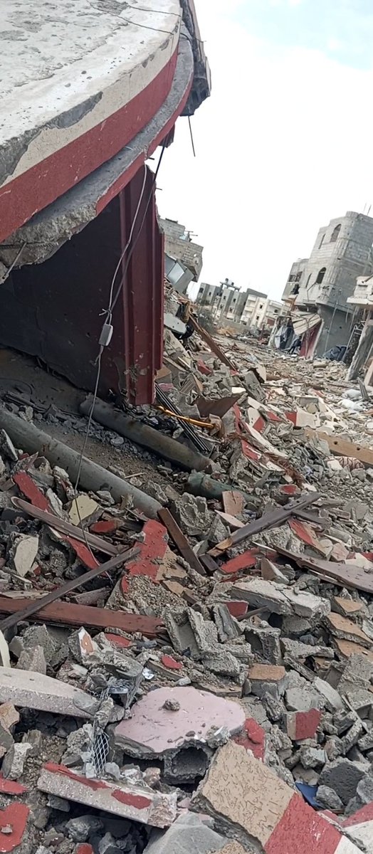 (غزة تباد) 💔ابن غزة 😭 tweet media