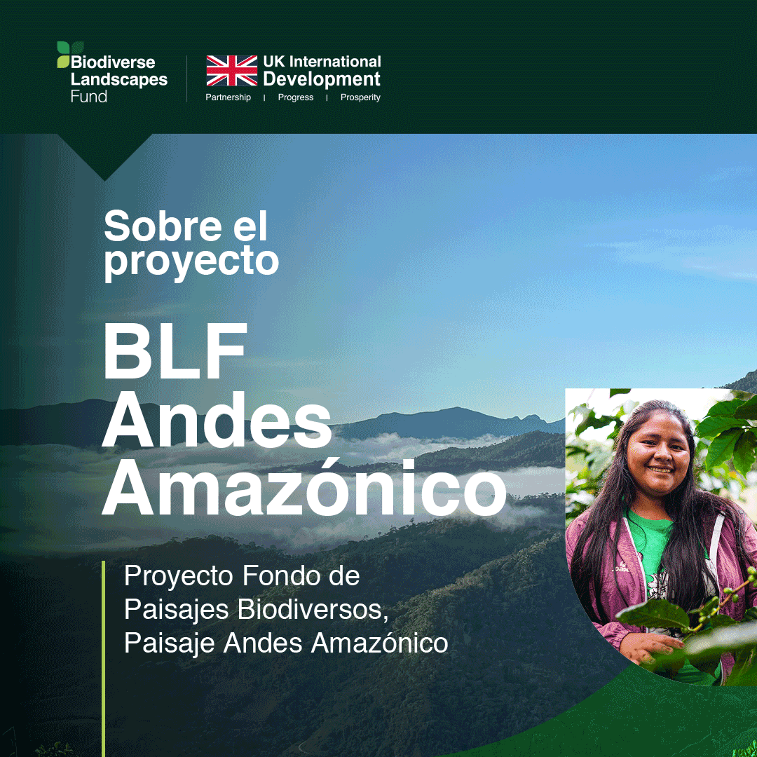 Practical Action en América Latina tweet media
