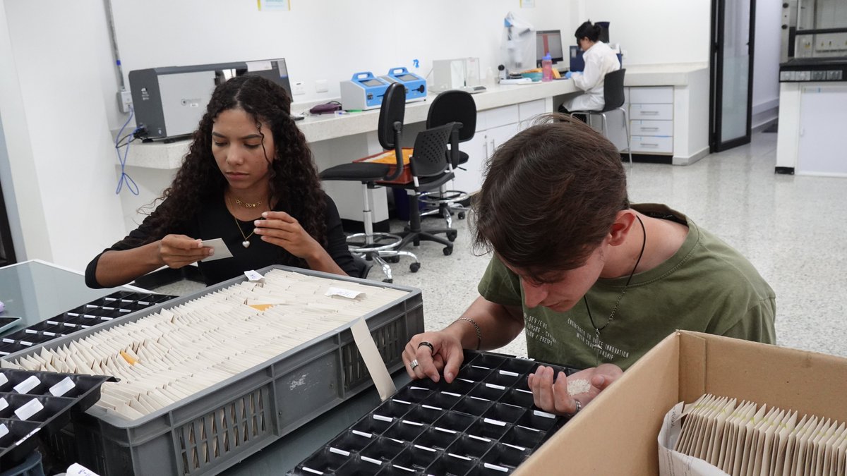 En el Laboratorio de Calidad apoyaron la tesis de maestría de María Montoya, investigadora en <a href="/arrozFLAR/">FLAR🌾🍚</a>, alistando muestras de arroz para evaluar la temperatura de gelatinización. También prepararon harina🌾para evaluar otras características culinarias👇