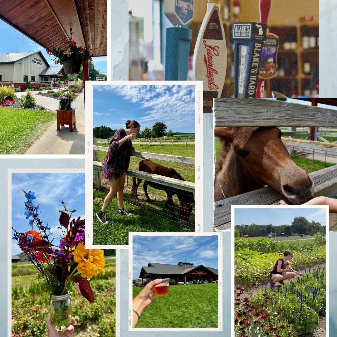 Experience the charm of Up North Farm Market – from vibrant flowers to tasty treats, friendly animals, and more! A must-visit destination for all your fall adventures 🍂🌻🍻 🍷 🐾 

#FarmFun #ThinkDunes #FallAdventures