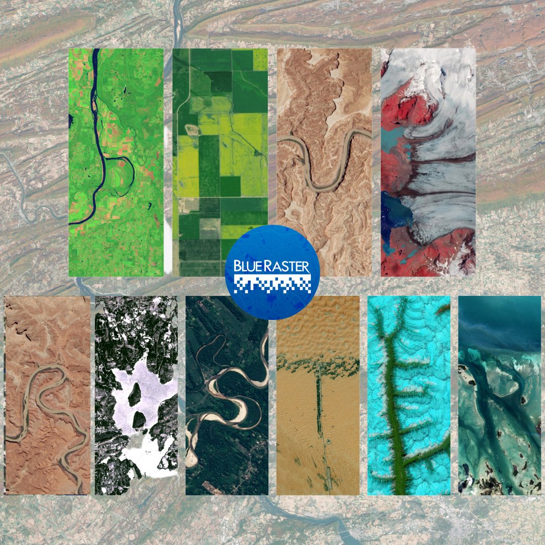 Blue Raster tweet media