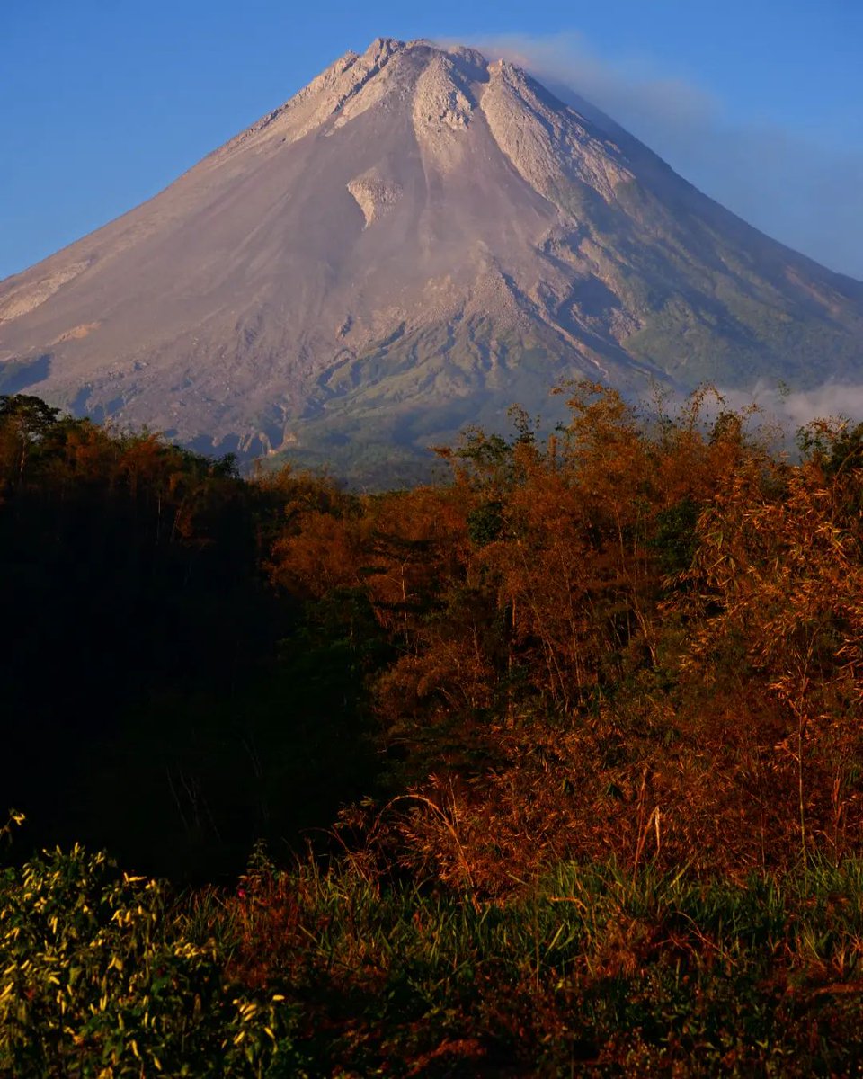 merapi_uncover's tweet photo. Apa kalian sudah melupakan spot ini wahai para photographer Jogja dan sekitarnya?...

Padahal Maha Guru Merapi menampakan dirinya sampai malam Hari...

Sore ini aku berpesta sendiri 😩...

📍Gubug Merapi Arum Sari
Tunggularum, Wonokerto, Turi, Kabupaten Sleman, Daerah Istimewa Yogyakarta 55551

(Ngesti.jogja)