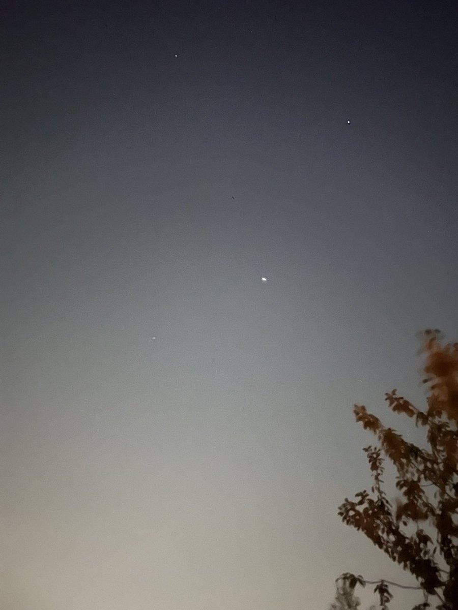 Alison Boardman tweet media