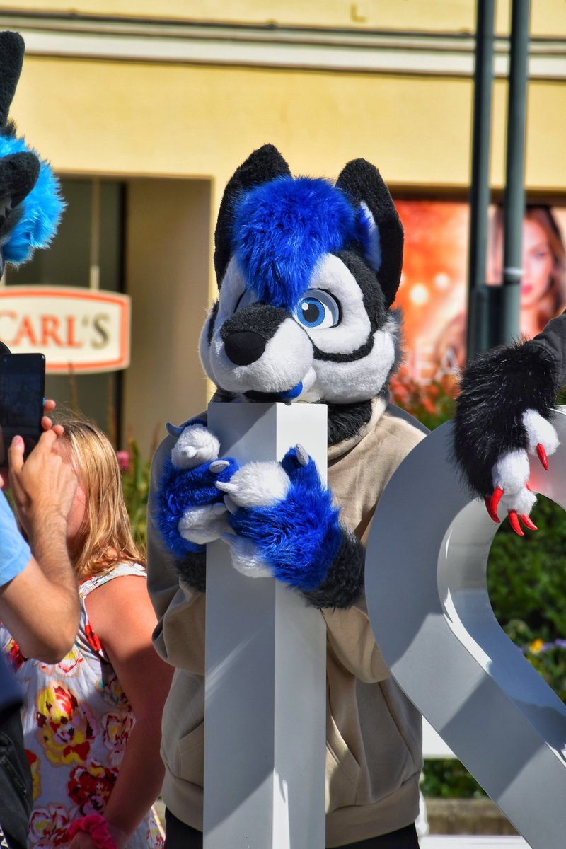 blep

📸 _.wenorevis._ (on Instagram)

#furry #fursuit #furryfandom #fursuiter #FursuitFriday