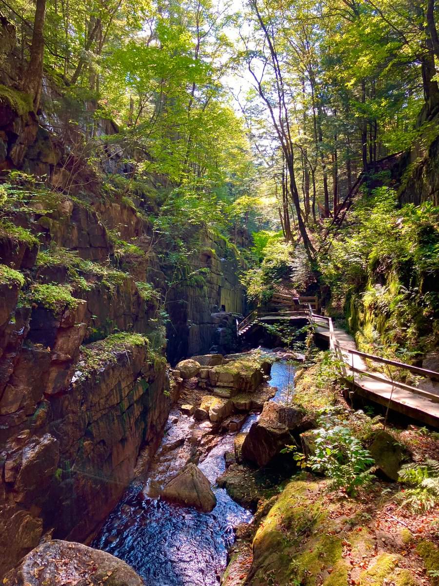 Sheila Liming tweet media