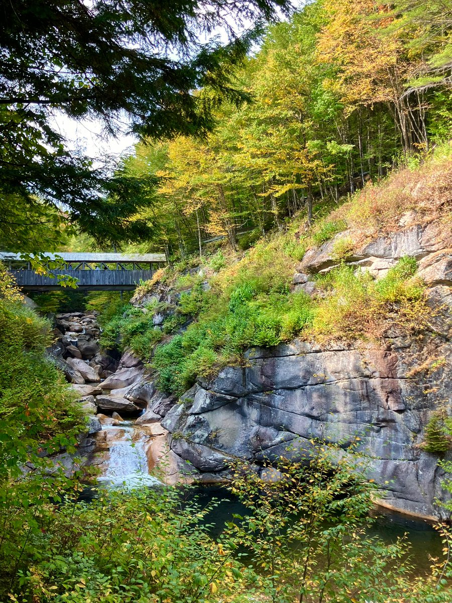 Sheila Liming tweet media