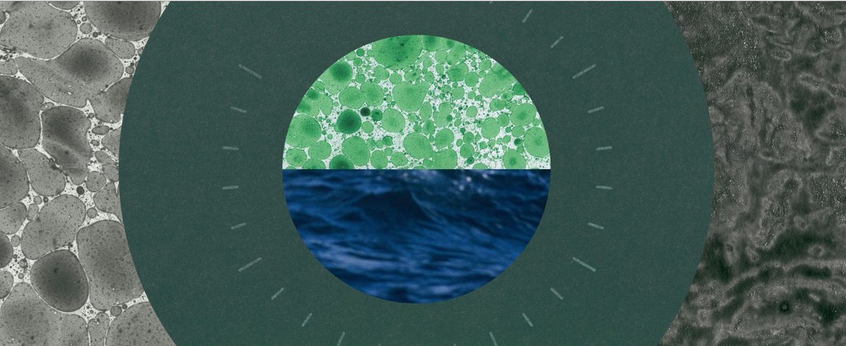 UAlbertaScience (@ualbertascience) on Twitter photo Lisa Stein (Biological Sciences) says in large-scale climate solutions, microbes are underutilized and overlooked. Stein explains how these organisms could be used to target methane that is already circulating in the atmosphere.
Full story in the <a href="/TheAtlantic/">The Atlantic</a> #UAlberta Lisa Stein (Biological Sciences) says in large-scale climate solutions, microbes are underutilized and overlooked. Stein explains how these organisms could be used to target methane that is already circulating in the atmosphere.
Full story in the <a href="/TheAtlantic/">The Atlantic</a> #UAlberta