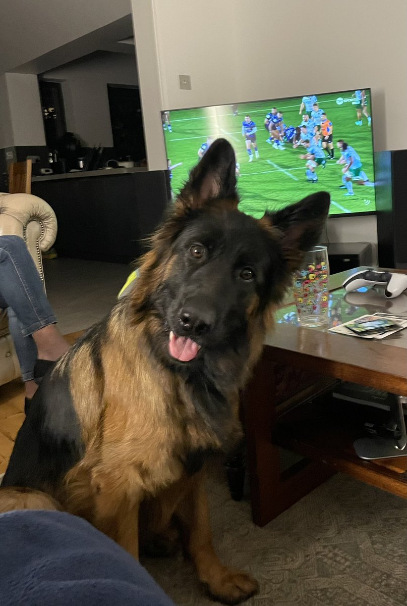 Rugby is back, and so is Izzy 👍