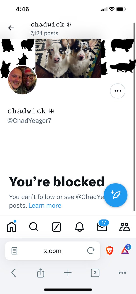 You Otter Know tweet media