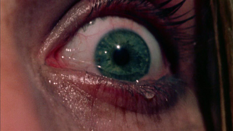 TheCinesthetic's tweet photo. the texas chainsaw massacre (1974) dir. tobe hooper https://t.co/61kMgG4GMs