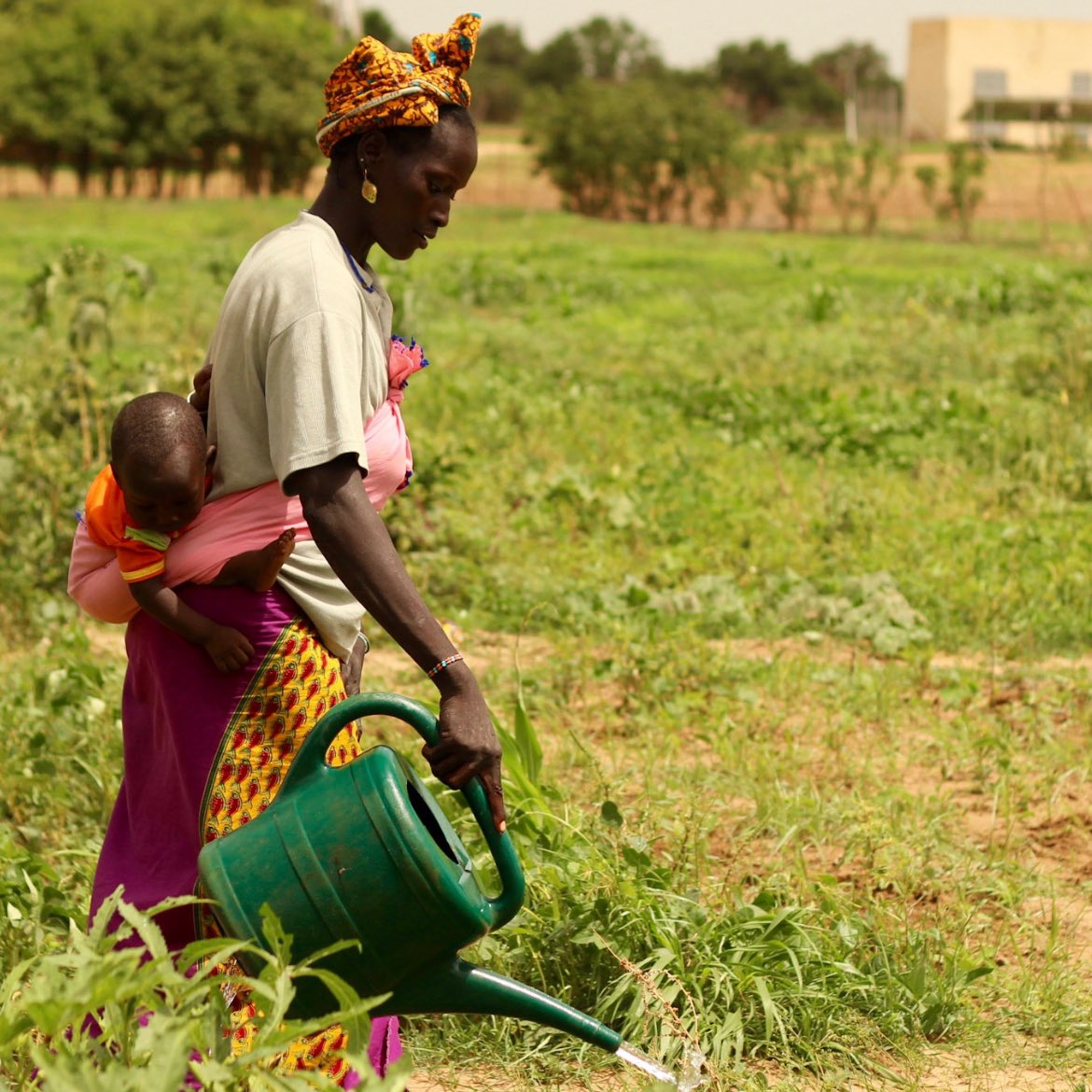 Together with <a href="/GermanyDiplo/">GermanForeignOffice</a> &amp; the UN Peacebuilding Support Office, <a href="/UNCDF/">UN Capital Development Fund</a> is driving progress on the Investing for Peace Initiative. 

Leveraging our high-risk tolerance and #blendedfinance expertise, we're catalyzing capital flows for peace-positive investments in fragile and