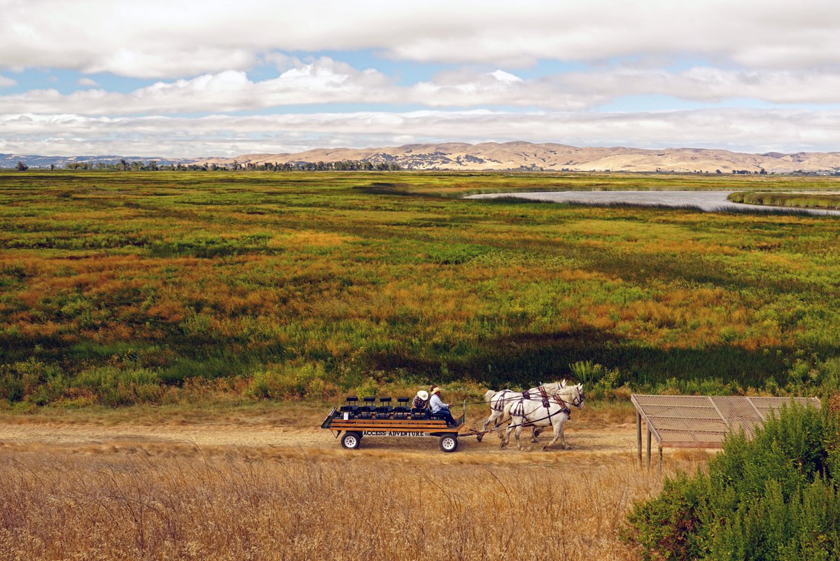 NOAADigCoast's tweet photo. With 130+ submissions, it was hard to choose the winners. So we have to give a HUGE shout out to the honorable mentions!
These photos from Chantal Tauton, Tom Muehleisen, Christina Pacella, & Erin Weeks are too good not to share. https://t.co/iDoBV4Kt1F #EstuariesWeek #WadeIn https://t.co/FlDpO6ChDw