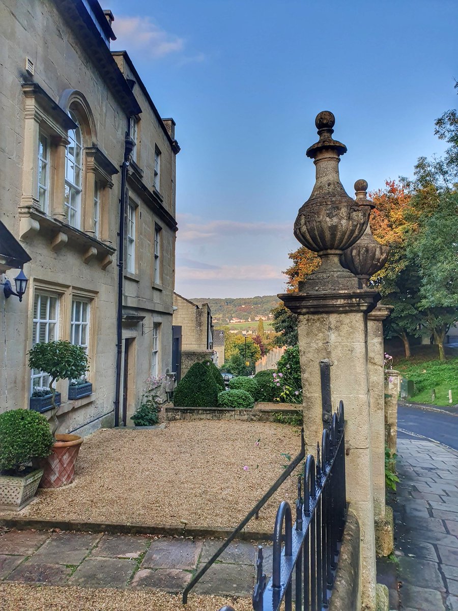 laura wilkins tweet media