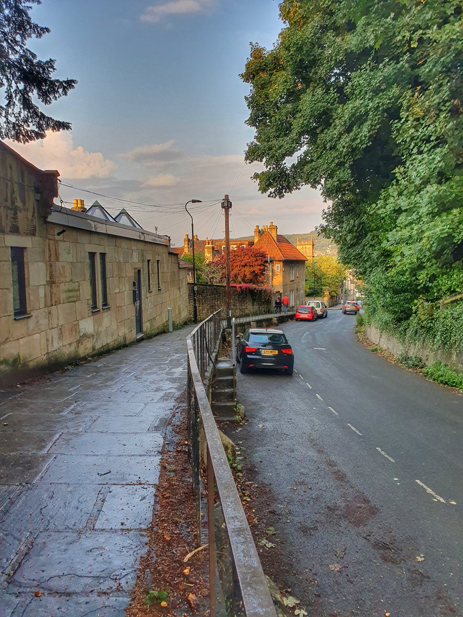 laura wilkins tweet media