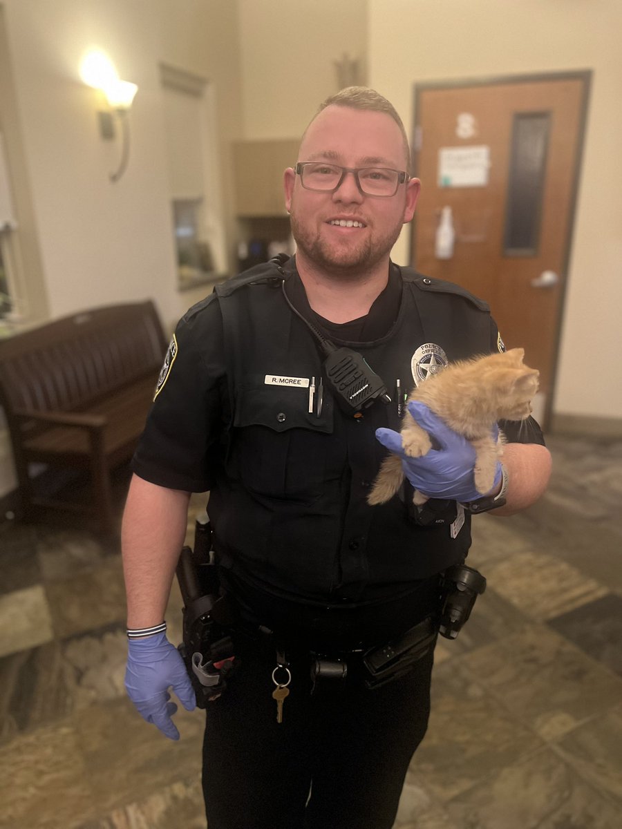 A few days ago, Officers McRee and Fisher, assigned to Dallas College North Lake Campus, were approached by a concerned citizen about a lone kitten trying to cross the road. With Irving Animal Services closed, our partners at the Animal Emergency Hospital of North Texas helped!