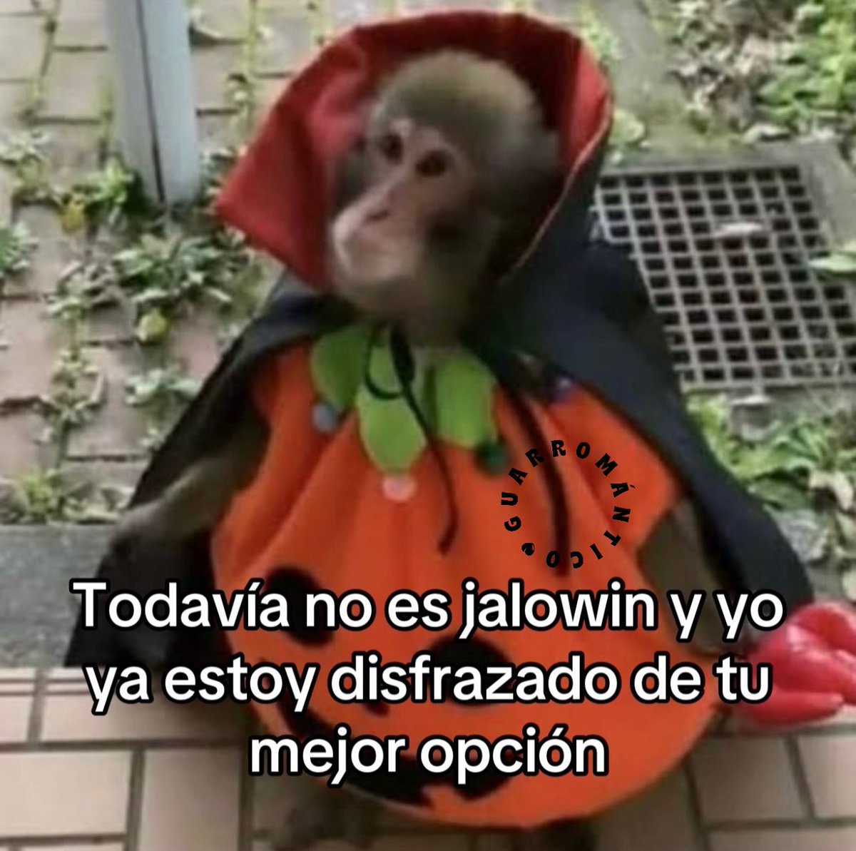 Guarromantico_'s tweet photo. Asies mailob. https://t.co/bX0mDGZOGN