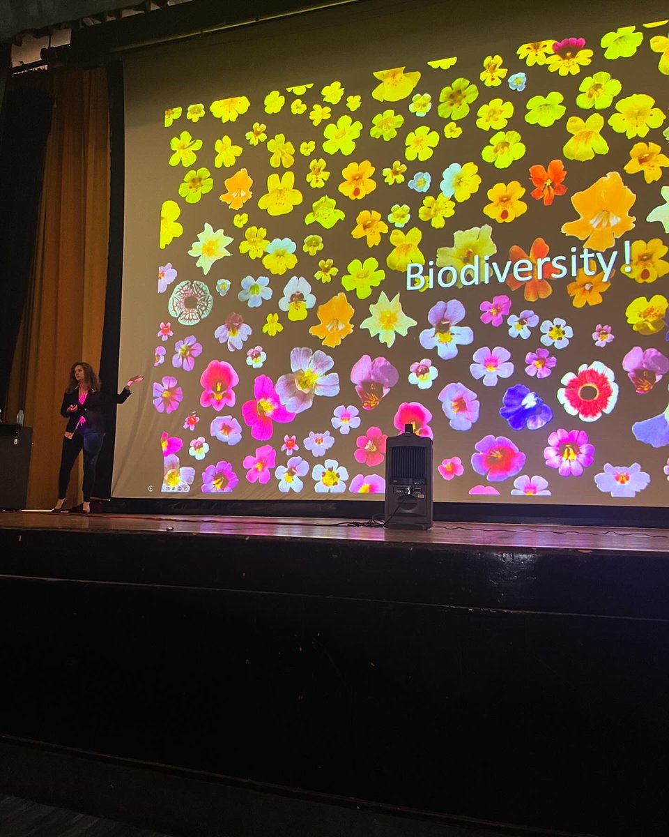 Dr. Kathleen Gray Ferris tweet media