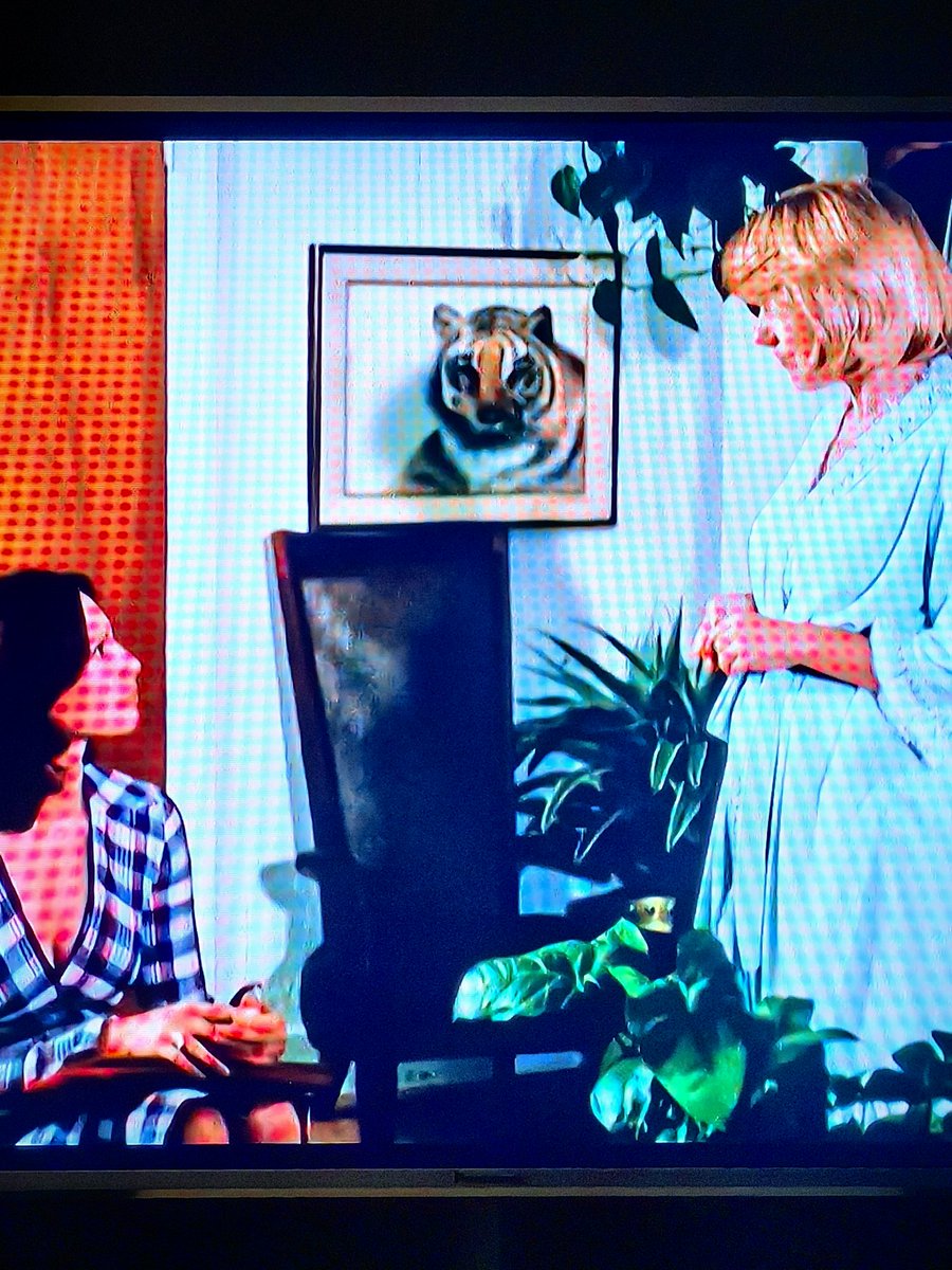Heinachi71's tweet photo. #schleTbaZ, schlechtestes Tigerbild aller Zeiten #SchleFaZ https://t.co/LGchOAQxav