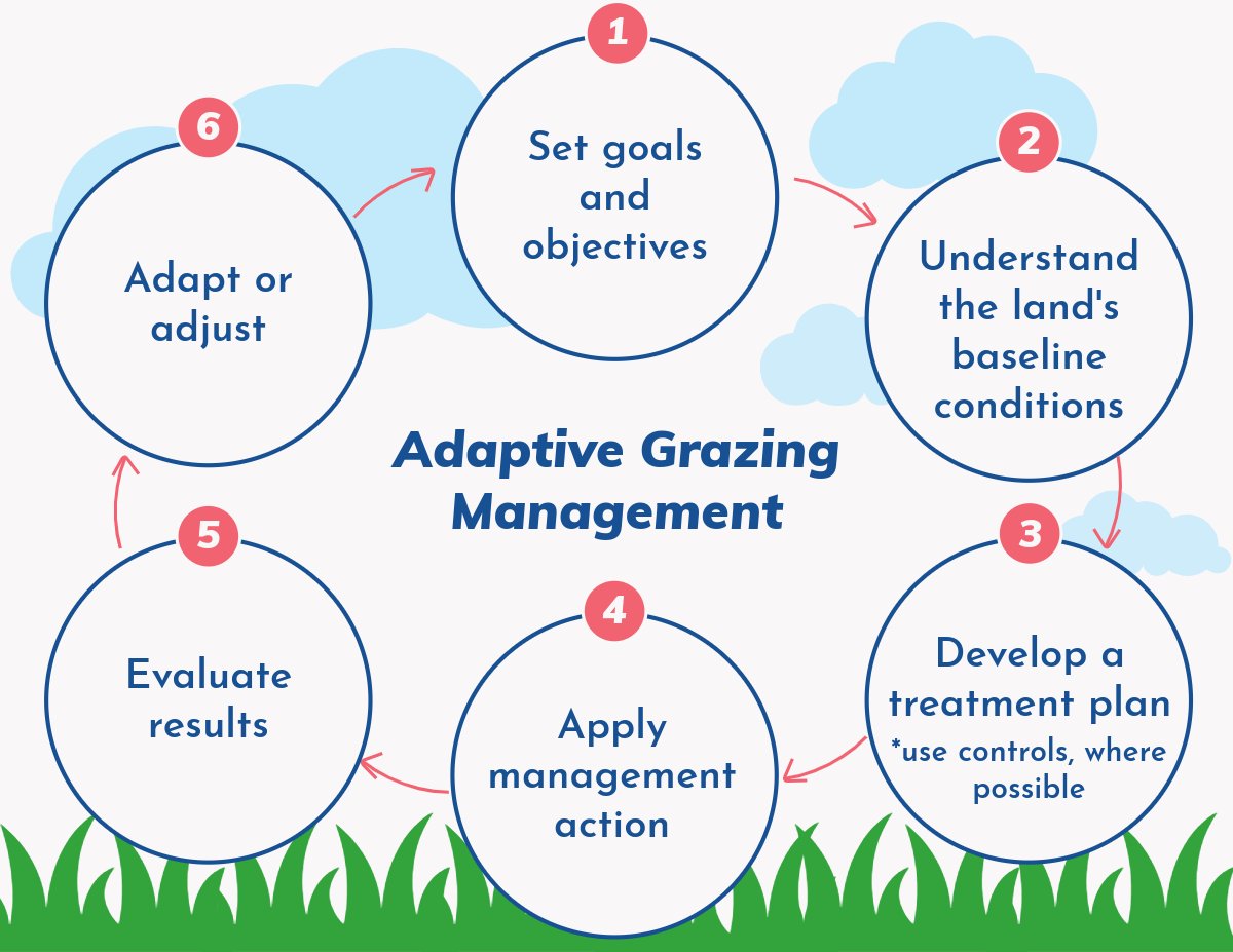 Adaptive grazing management can help ranchers and rangeland managers adapt to climate change. By anticipating and responding to changing conditions, we can ensure healthy, productive rangelands and support thriving livestock-based economies.
shorturl.at/YjsmE
<a href="/USDA_ARS/">Agricultural Research Service</a>