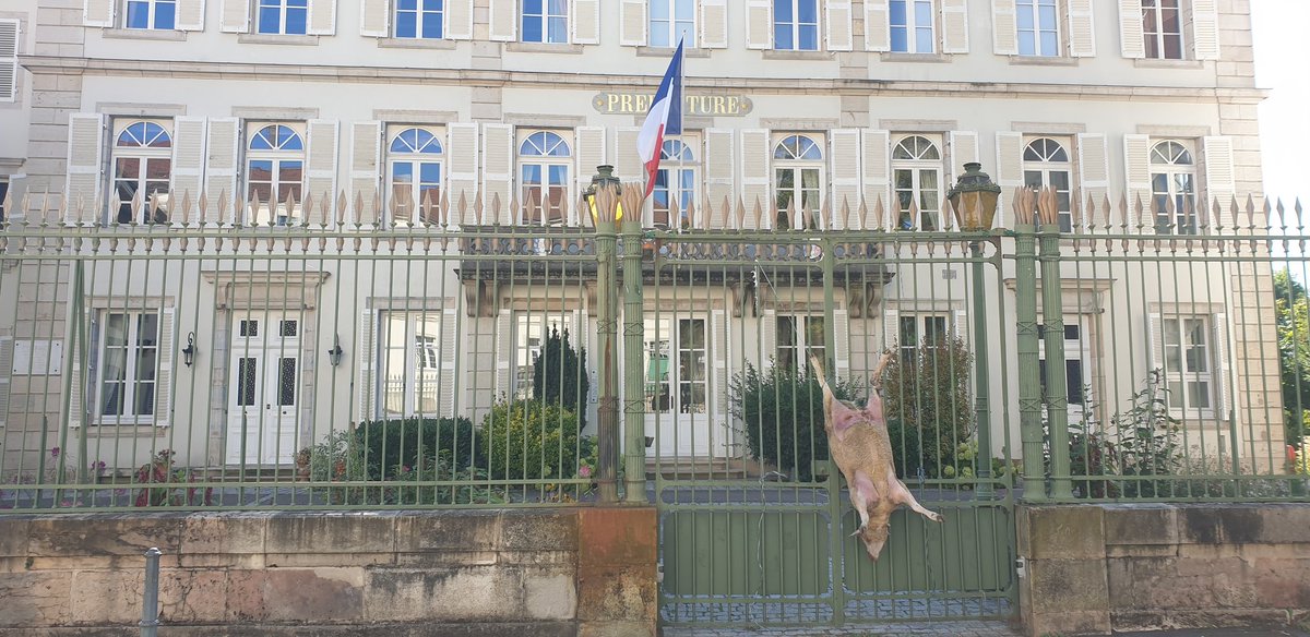 Entre le loup et l'élevage : il va falloir choisir ?! 

<a href="/gouvernementFR/">Gouvernement</a> 

🐺🐺🐺

(Vendredi 20 septembre - préfecture de Vesoul- Haute-Saône)