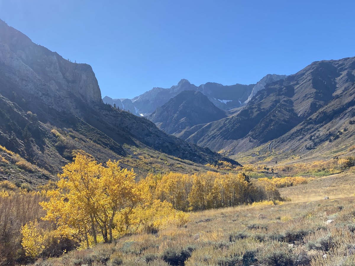 Here's to the first day of autumn!!  We're excited for fall colors and moderate temps in the Eastern Sierra...  
Its also a great time for maintenance on heating systems!
Looking for advice on where to start?  Check out practical tips here:
energy.gov/energysaver/ho…