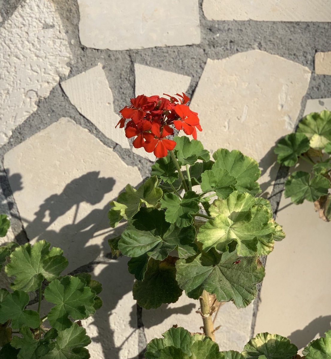 Mark Blackburn tweet media